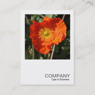 Square Foto 0405 - Welsh Poppy (Orange) Visitenkarte