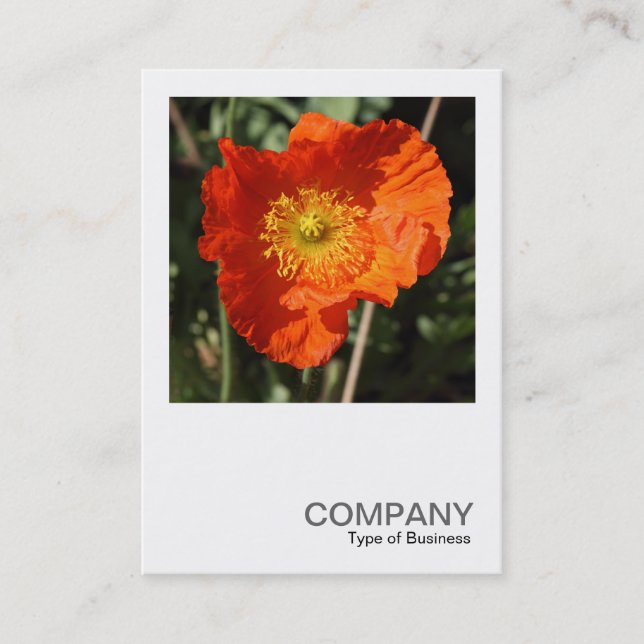 Square Foto 0405 - Welsh Poppy (Orange) Visitenkarte (Vorderseite)