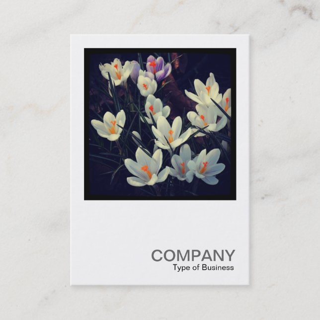 Square Foto 0432 - Crocuses Visitenkarte (Vorderseite)