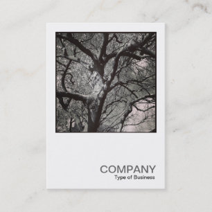 Square Foto 0458 - Magnolia Tree Visitenkarte