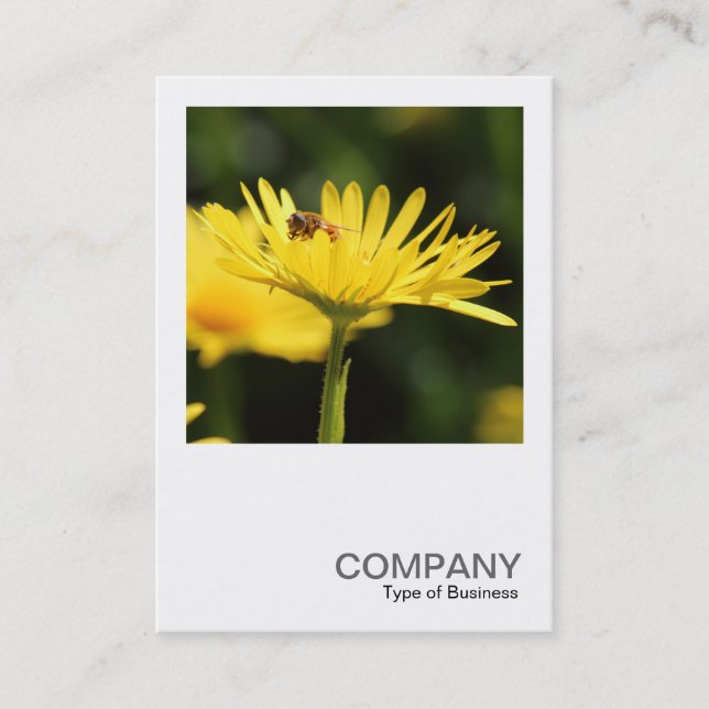 Square Foto 0543 - Besetzte Biene Visitenkarte (Vorderseite)