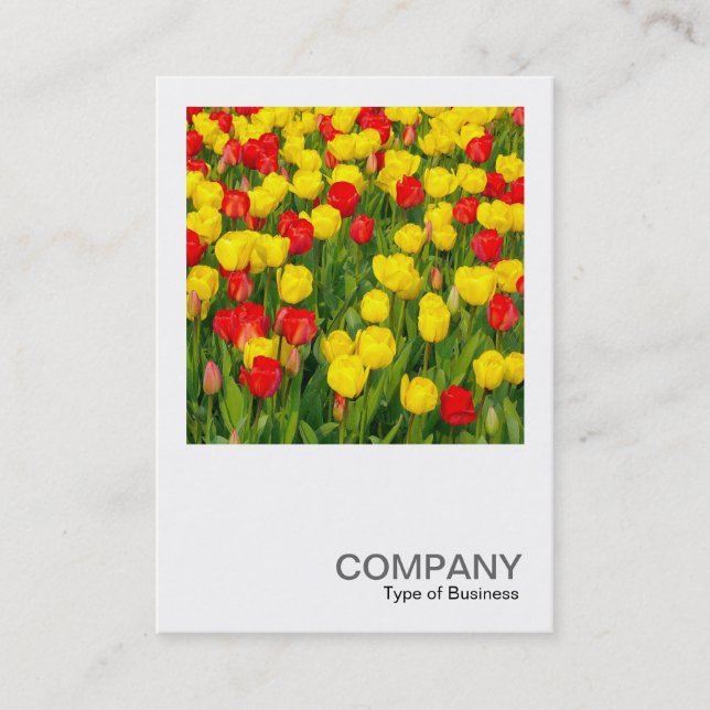 Square Foto 2019 - Tulips Visitenkarte (Vorderseite)