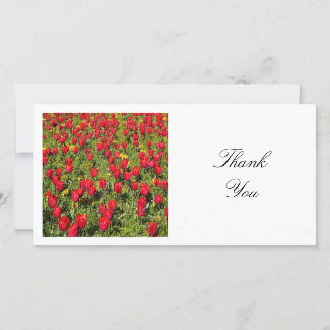 Square Foto - Bett aus roten Tulpen Dankeskarte (Vorderseite)