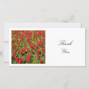 Square Foto - Bett aus roten Tulpen Dankeskarte