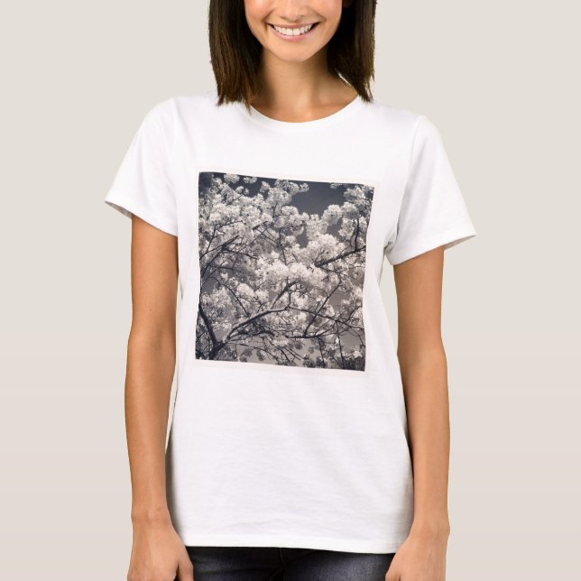 Square Foto - Cherry Blossom T-Shirt (Vorderseite)