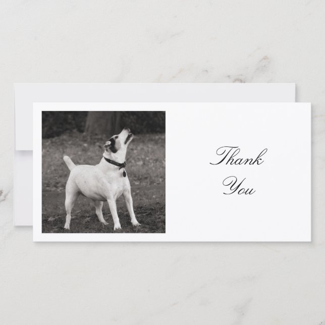 Square Foto - Die Eichhörnchen spielen nicht Dankeskarte (Vorderseite)