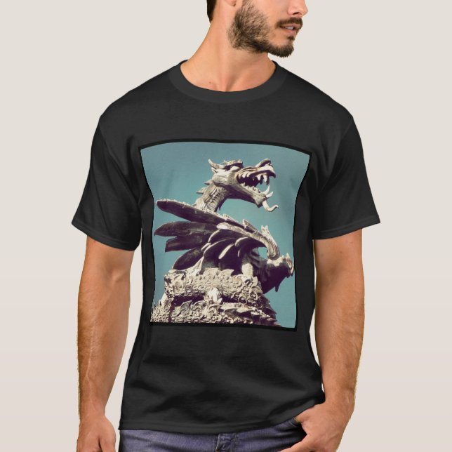 Square Foto - Dragon T-Shirt (Vorderseite)