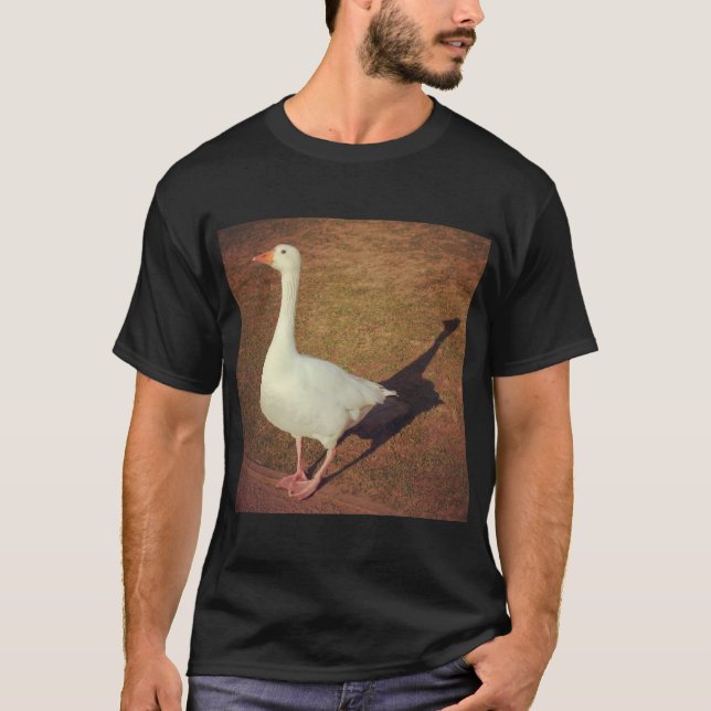 Square Foto - Gänse T-Shirt (Vorderseite)