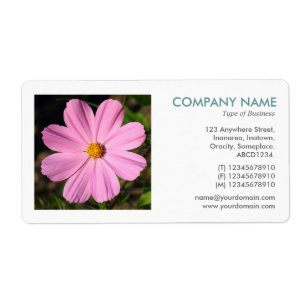 Square Foto - Rosa Kosmos