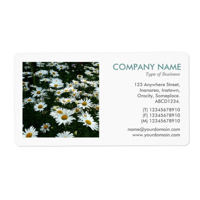 Square Foto - Shasta Daisies II (Vorne)