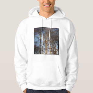 Square Foto - Sunlit Winter Trees Hoodie