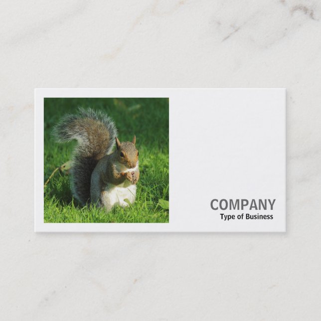 Square Foto (v2) - Gray Squirrel Eating Nuts Visitenkarte (Vorderseite)