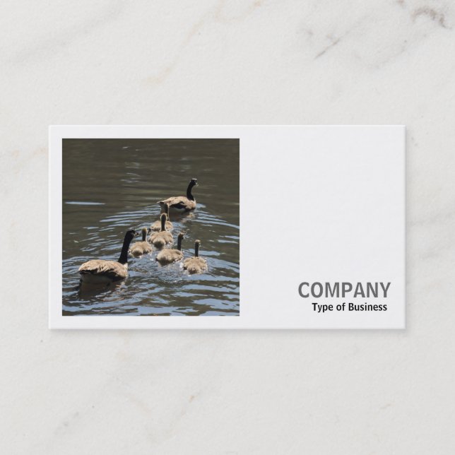 Square Foto (v2) - Kanada Gänse mit Goslings Visitenkarte (Vorderseite)