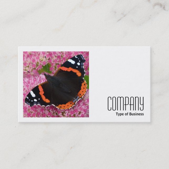 Square Foto (v2) - Roter Admiral auf Sedum Visitenkarte (Vorderseite)
