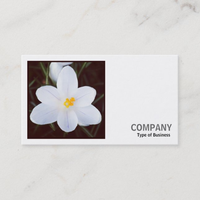 Square Foto (v2) - White Crocus Visitenkarte (Vorderseite)