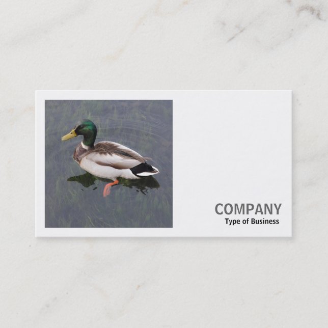 Square Foto (v3) - Mallard Duck Visitenkarte (Vorderseite)