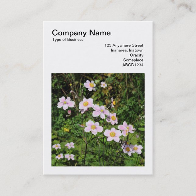 Square Foto (v3) - Rosa Anemonen Visitenkarte (Vorderseite)