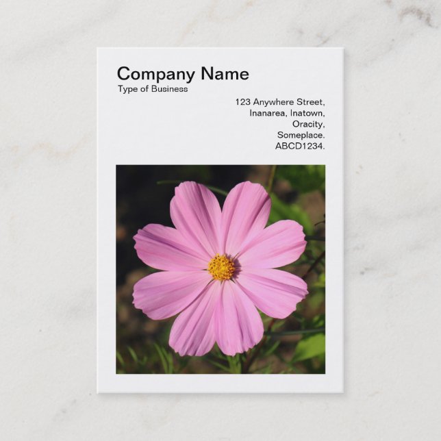 Square Foto (v3) - Rosa Kosmos Visitenkarte (Vorderseite)