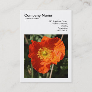 Square Foto (v3) - Welsh Poppy Visitenkarte