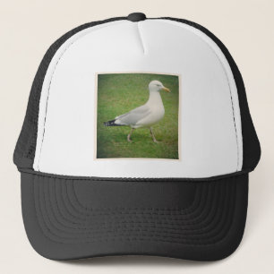 Square Foto - Walking Seagull Truckerkappe