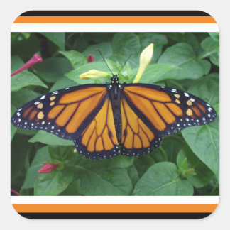 Square Glossy Stickers, Monarch Style #3b Quadratischer Aufkleber