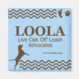Square LOOLAorg Metal Magnet