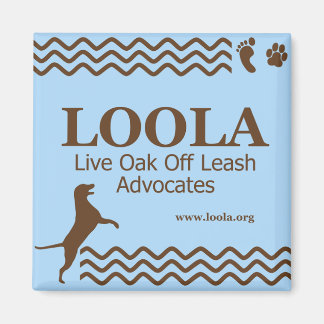 Square LOOLAorg Metal Magnet