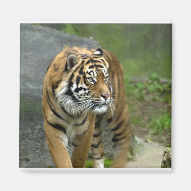 Square Magnet (Vorne)