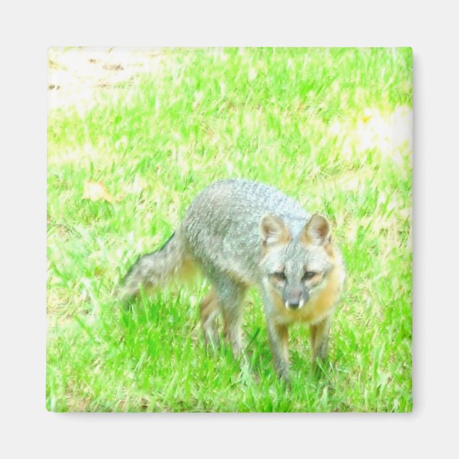 Square Magnet - Maßgeschneidert (Vorne)