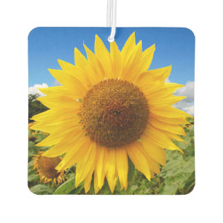 Square Sunflower Air Freshener Autolufterfrischer