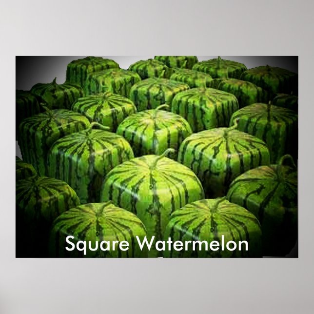Square Watermelon Print Poster (Vorne)