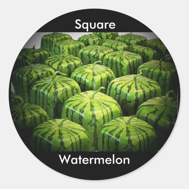 Square Watermelon Runder Aufkleber (Vorderseite)