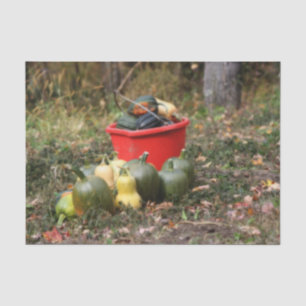 Squash Country Garden Harvest Orton Decoupage Seidenpapier