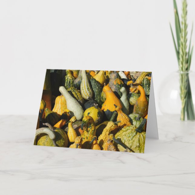 Squash Karte (Vorderseite)