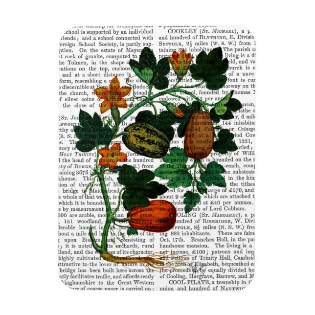 Squash Vine 1 Magnet (Vertikal)