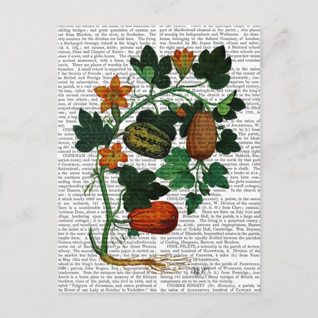 Squash Vine 1 Postkarte (Vorderseite)