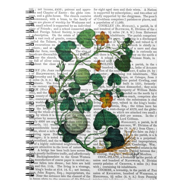 Squash Vine 2 Notizblock (Vorderseite)