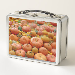 Squashes Galore Metall Lunch Box