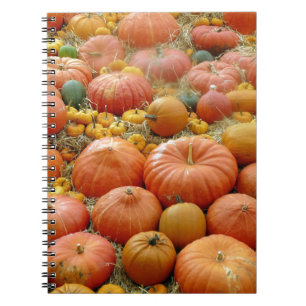 Squashes Galore Notizblock