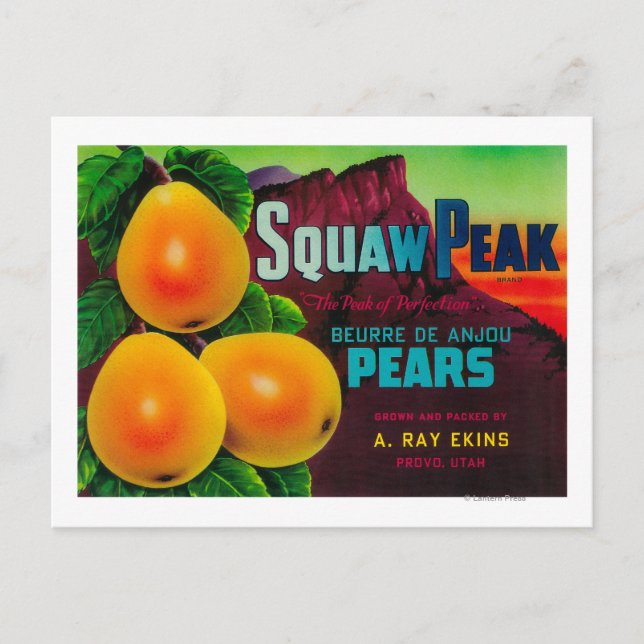 Squaw Peak Pear Crate LabelProvo, UT Postkarte (Vorderseite)