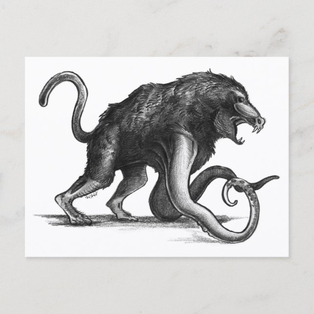 Squiboon - Postkarte (Vorderseite)