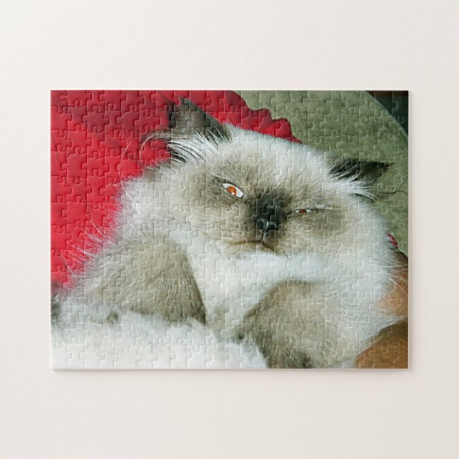 Squinty Himmy (Horizontal)