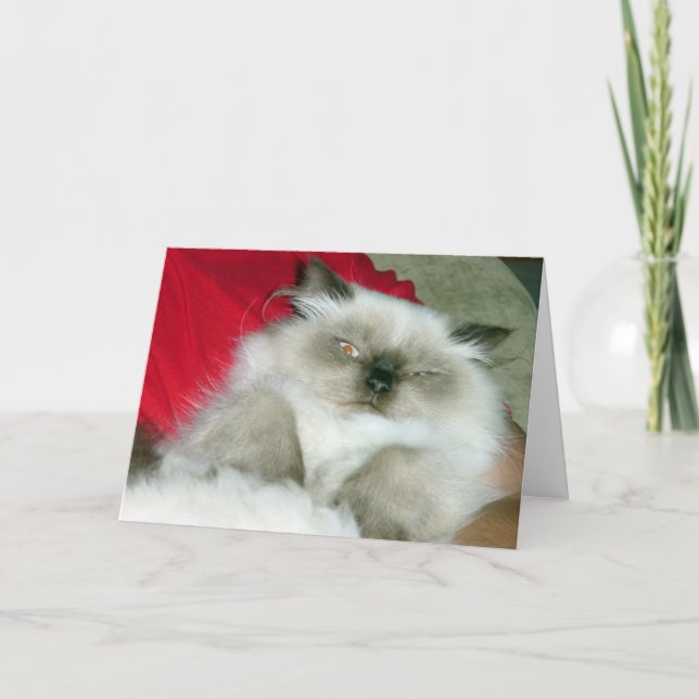 Squinty Himmy Birthday Card Karte (Vorderseite)