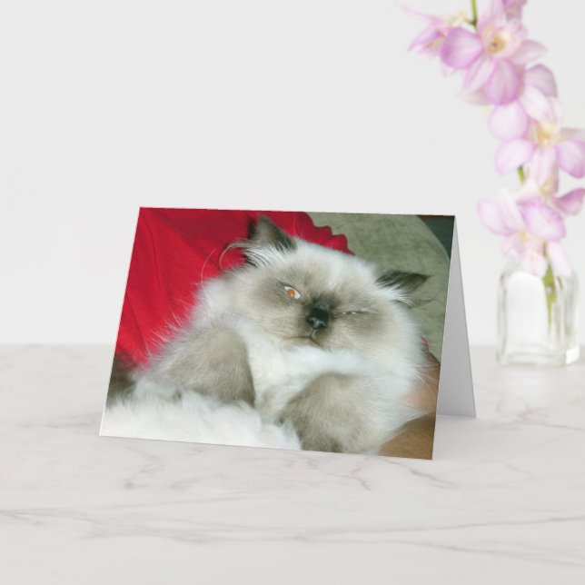 Squinty Himmy Karte (Orchidee)