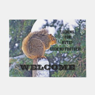 SQUIRREL AUF SCHNEEBEDECKTEN POST/SUCHEN NACH NUTS FUßMATTE