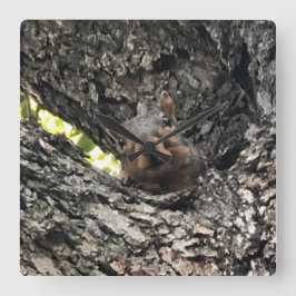 Squirrel Clock Quadratische Wanduhr