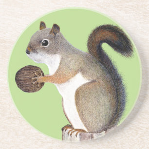 Squirrel Getränkeuntersetzer