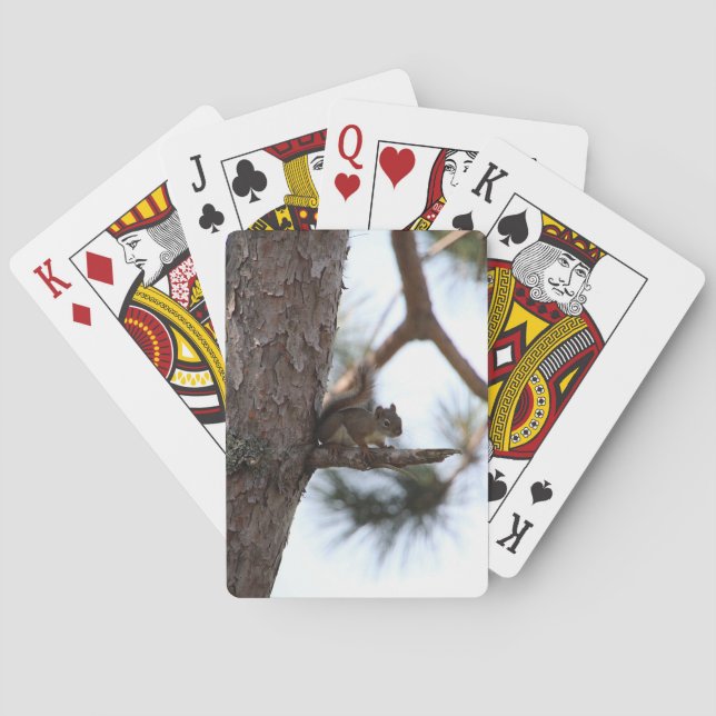 Squirrel in a Pine Tree Playing Cards Spielkarten (Rückseite)
