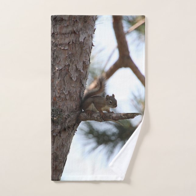 Squirrel in a Pine Tree Towel Set (Handtuch)