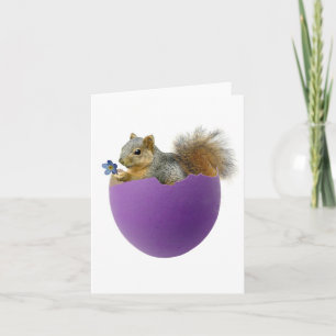 Squirrel in Eggshell Card Feiertagskarte